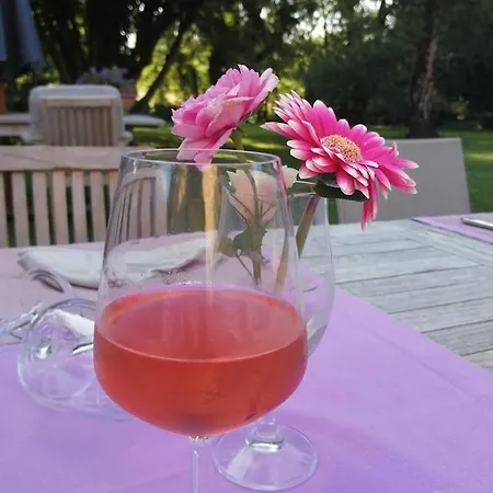 Moulin De Sevoux Bed & Breakfast