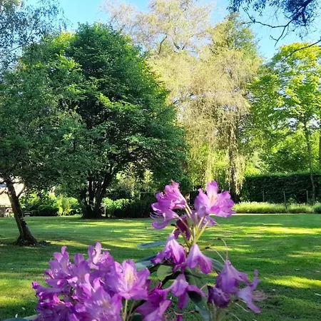 Bed & Breakfast Moulin De Sévoux 3*